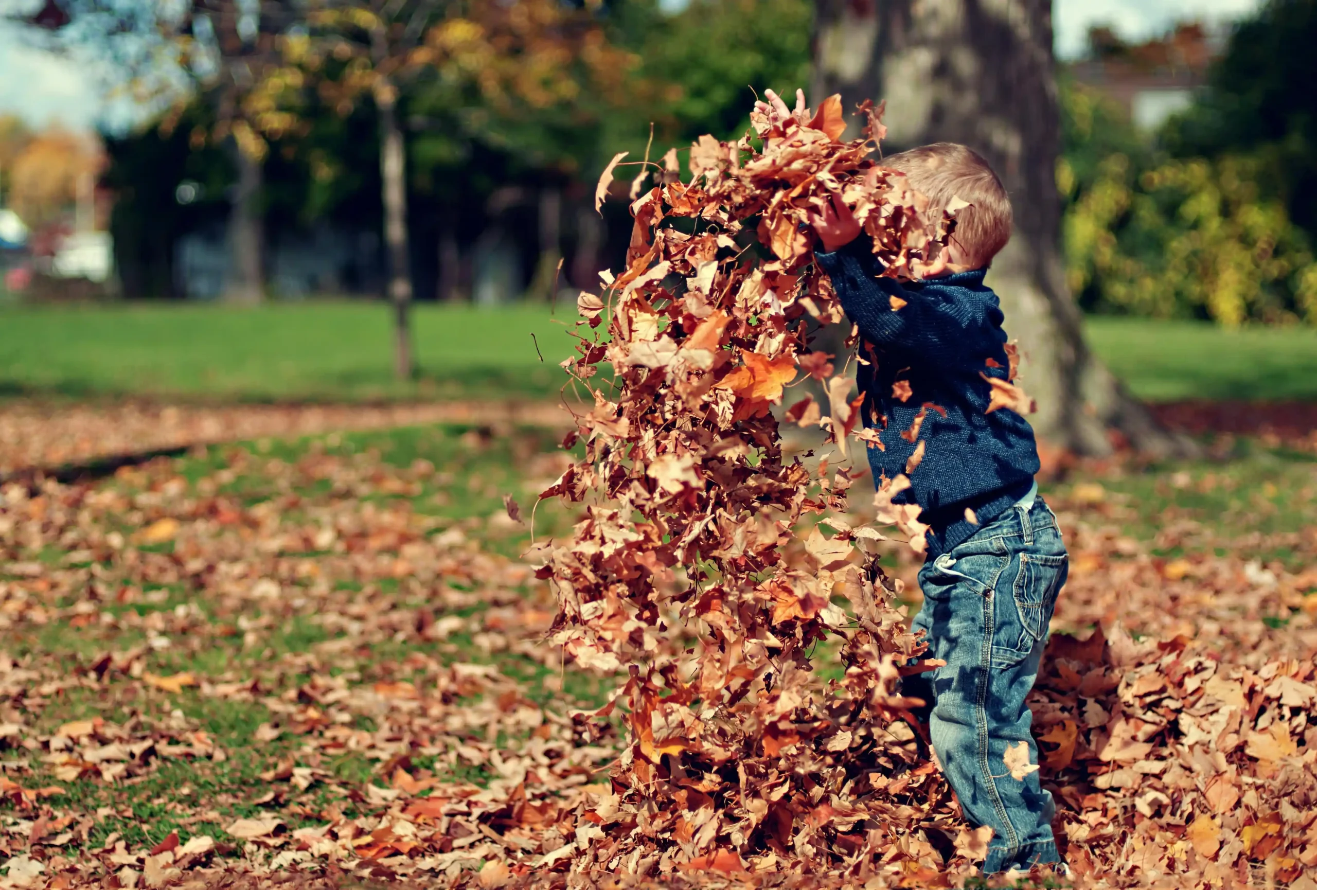 Child exploring leaves during outdoor play